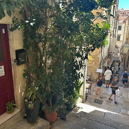 Location ! New, Modern, Old Town Διαμέρισμα Ντουμπρόβνικ
